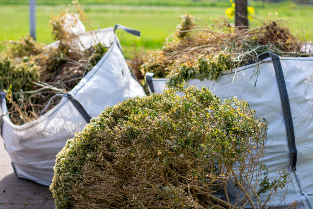 Best Residential Junk Removal  in Three Points, AZ